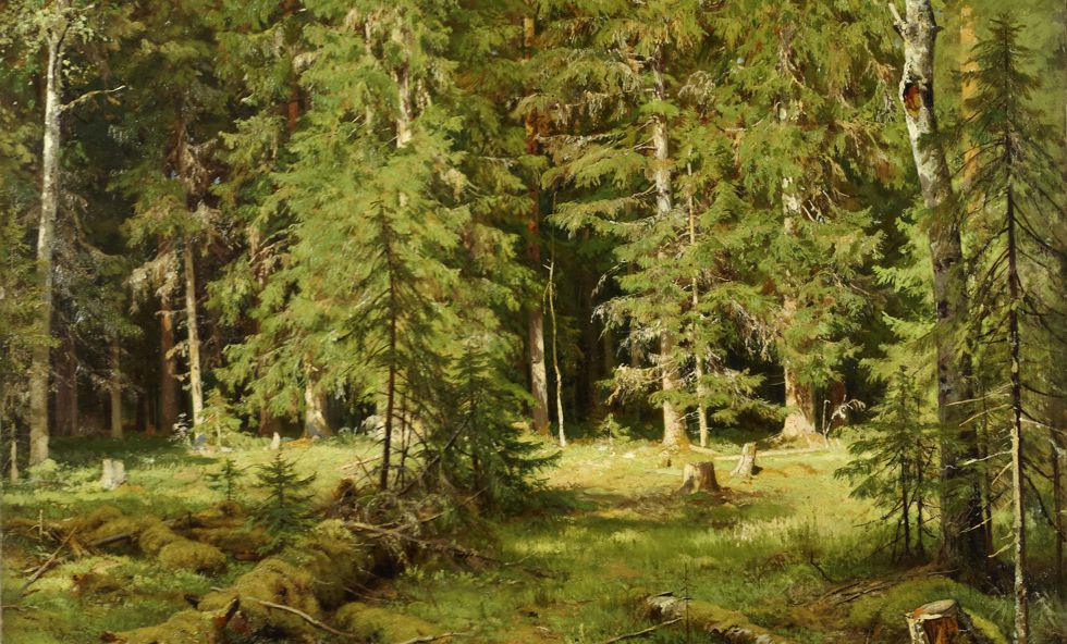 Kwiaty – natchnienie poetów i malarzy